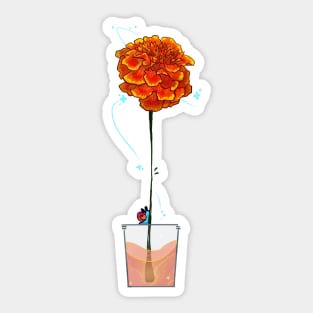 Magic Marigold Sticker